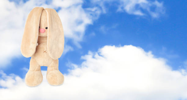 The rabbit is standing on a cloud. Resentment, loneliness, autism.