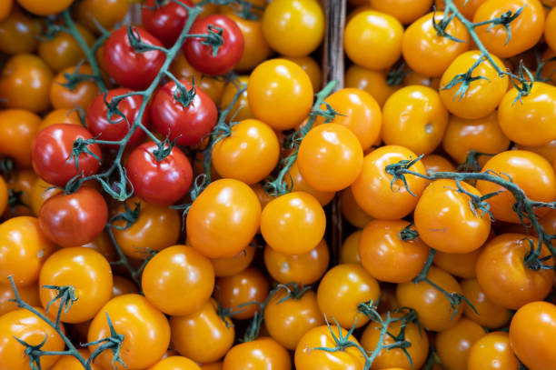 istock Assortment of fresh tomatoes 1366964108