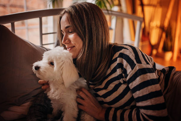 istock Woman relaxing in bed with puppy 1366965447