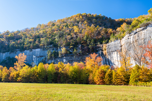 Colorful Autumn trees at Roark Bluff on the Buffalo River in Arkansas.
