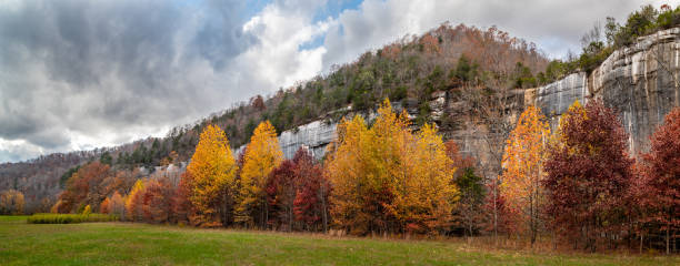 Roark Bluff, Sweetgum Trees, Autumn, Buffalo River stock photo