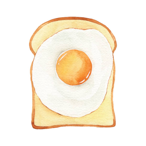 Watercolor Egg Toast Vector illustration of egg toast. egg yolk on white stock illustrations