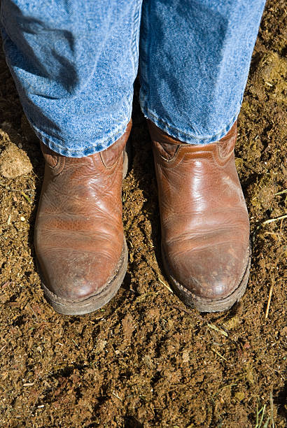 istock Boots Standing in Fresh Horse Manure, Close Up 136697054