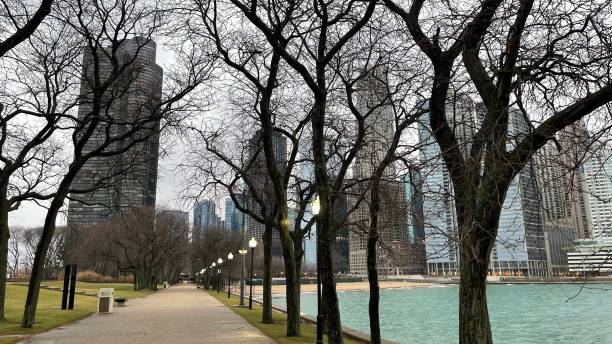 istock Downtown Chicago on a foggy day 1366970876