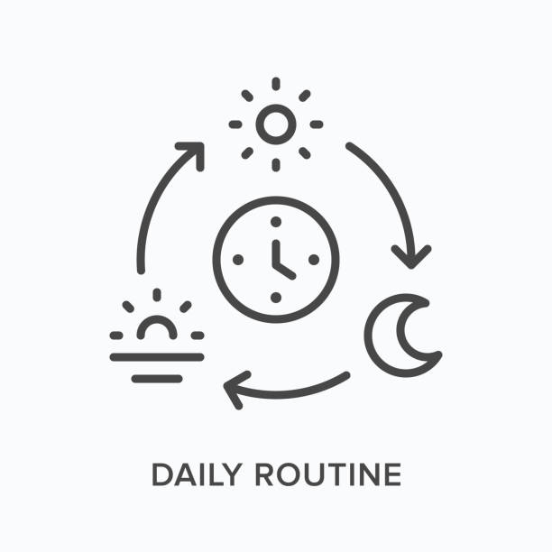 Daily routine flat line icon. Vector outline illustration of sun, moon and sunset. Black thin linear pictogram for everyday activities Daily routine flat line icon. Vector outline illustration of sun, moon and sunset. Black thin linear pictogram for everyday activities. early morning stock illustrations
