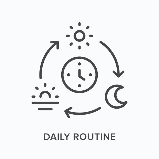 Daily routine flat line icon. Vector outline illustration of sun, moon and sunset. Black thin linear pictogram for everyday activities Daily routine flat line icon. Vector outline illustration of sun, moon and sunset. Black thin linear pictogram for everyday activities. morning afternoon night stock illustrations