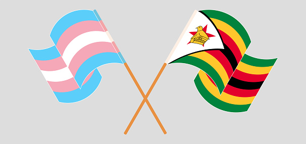 Crossed flags of Transgender Pride and Zimbabwe. Official colors. Correct proportion. Vector illustration