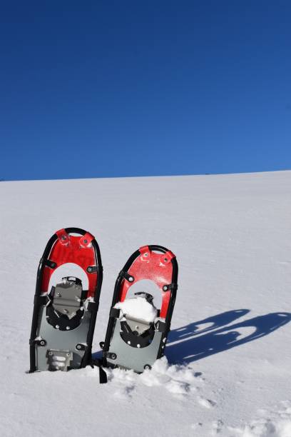 A pair of snowshoes, Sainte-Apolline, Quebec, Canada