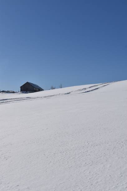 Un ciel bleu A snowy field under a blue sky, Sainte-Apolline, Quebec, Canada ciel bleu stock pictures, royalty-free photos & images
