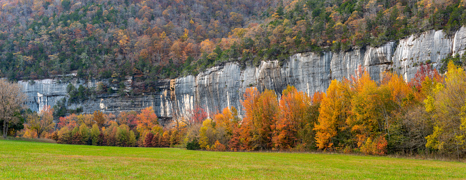 Beautiful Autumn Sweetgum trees at Roark Bluff on the Buffalo River in Arkansas.