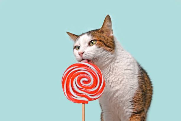istock Funny tabby cat licking a red Lollipop on green background. Horizontal image with copy space. 1366974897