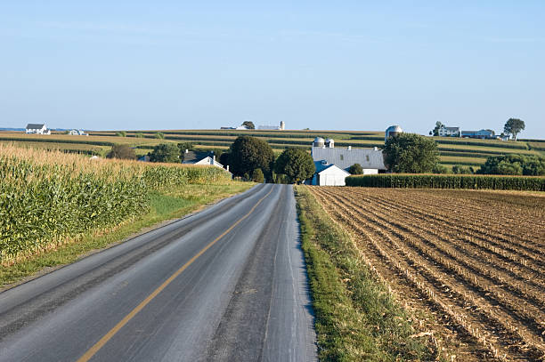 istock Farm Land Back Road in Lancaster County, Pennsylvania 136697766