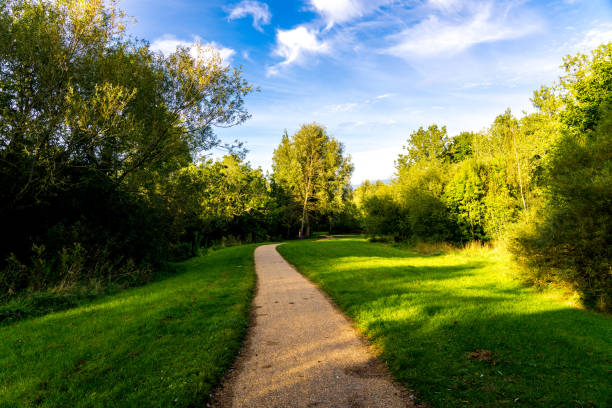 istock Walking path along the lake nature reserve in Green Park 1366977791