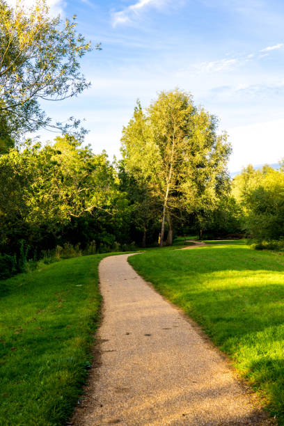 istock Walking path along the lake nature reserve in Green Park 1366977794