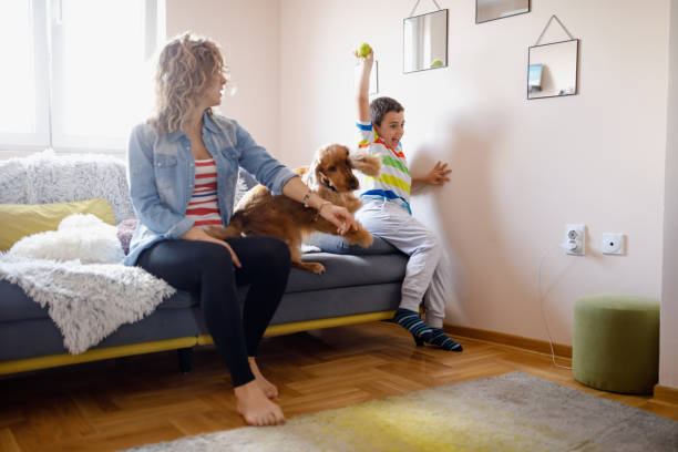 istock Happiness begins at home 1366977942