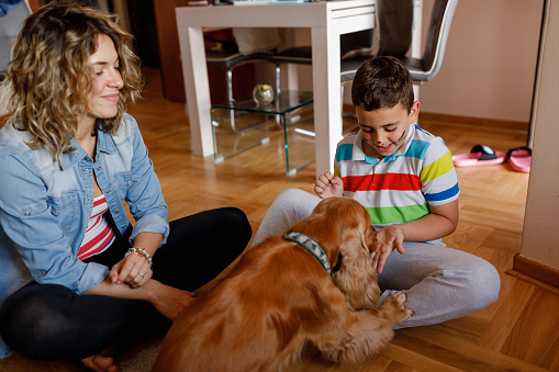 Young mother and son sitting on floor and playing with their dog at home