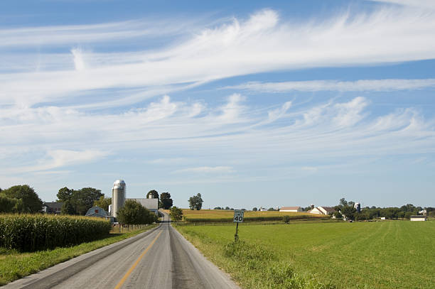 istock Farm Landscape under High Summer Clouds and Sunlight, Scenic 136697819