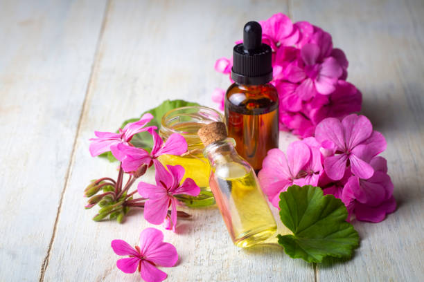 istock Geranium flower and geranium oil 1366979417