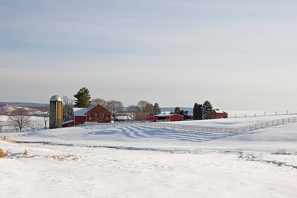 Farm landscape in winter snow and sunlight, scenic rural Pennsylvania, PA, USA.