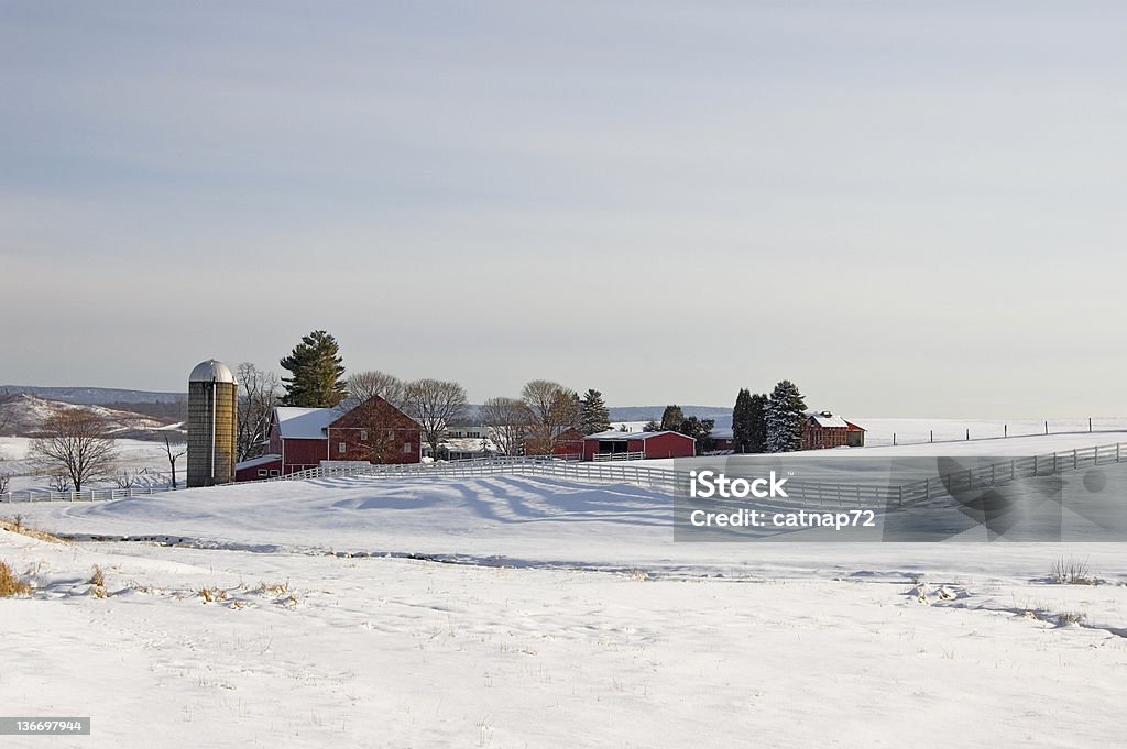 Dairy Farm In Sunlight Winter Landscape Farm landscape in winter snow and sunlight, scenic rural Pennsylvania, PA, USA. Winter Stock Photo