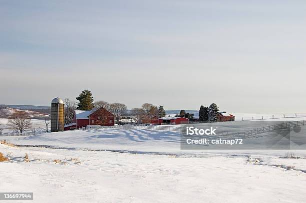 Dairy Farm In Sunlight Winter Landscape Stock Photo - Download Image Now - Winter, Farm, Snow