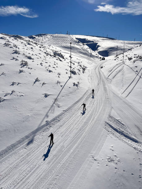 istock Aerial view of people skiing 1366981804