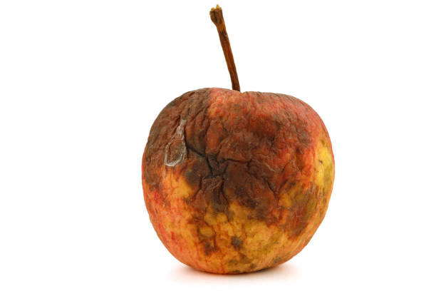 istock Rotten and crumpled apple close-up 1366981899