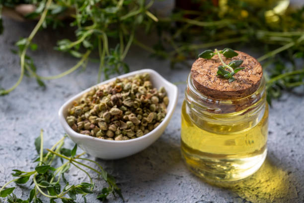 istock Green thyme and thyme oil 1366983739