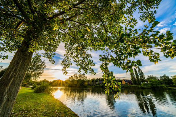 Finnish lake view from Sotkamo, Finland.