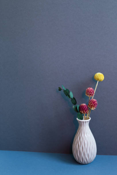 vase of dry flowers on table. navy blue wall background. home interior decor - globe amaranth imagens e fotografias de stock