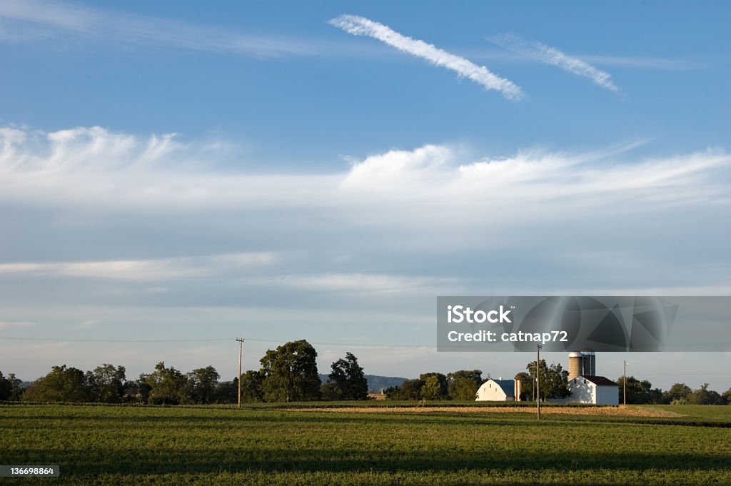 Farm con cielo blu sera paesaggio agricolo - Foto stock royalty-free di Agricoltura