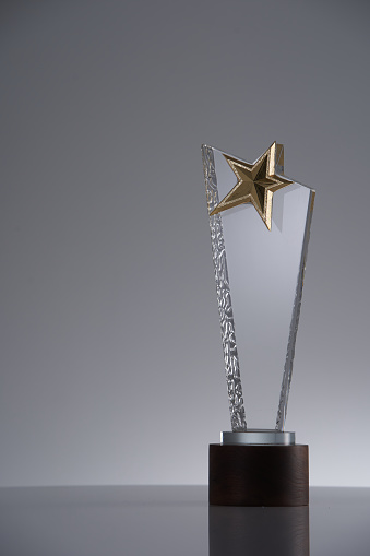 crystal star shape award trophy on gray background