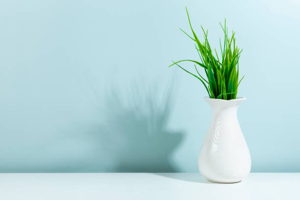 istock Green plant in a white vase on a green background 1366991991