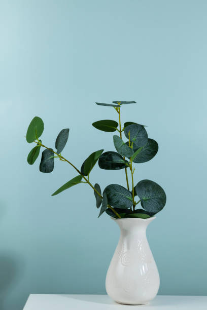 istock Green plant in a white vase on a green background 1366992112