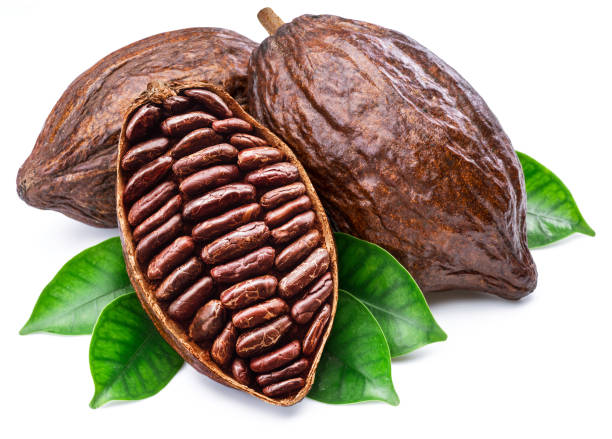 istock Cocoa pods with cocoa leaves isolated on a white background. 1366993737