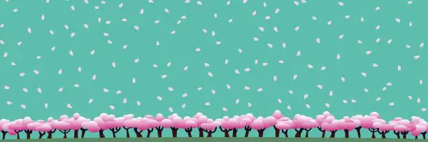 Vector illustration of One side of cherry blossom trees, emerald green sky and petals 4