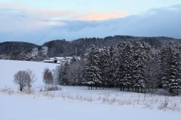 istock Snowy landscape in winter 1366999332
