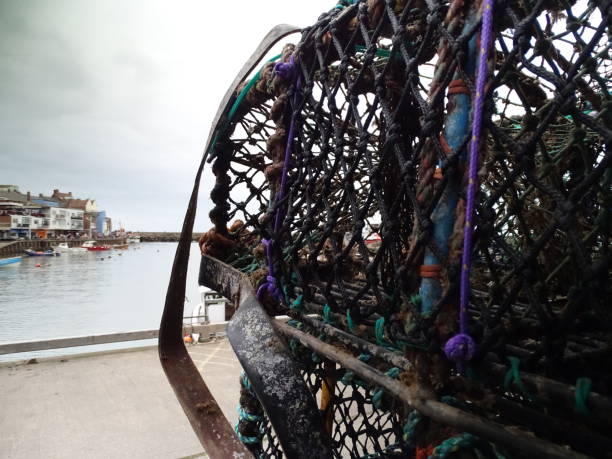 istock Fishing scene in Bridlington harbour 1367000181