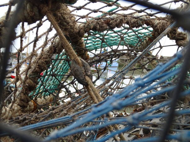 istock Fishing scene in Bridlington harbour 1367000763