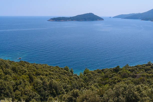 istock Sea and blue sky with green trees, view from the hill 1367000970