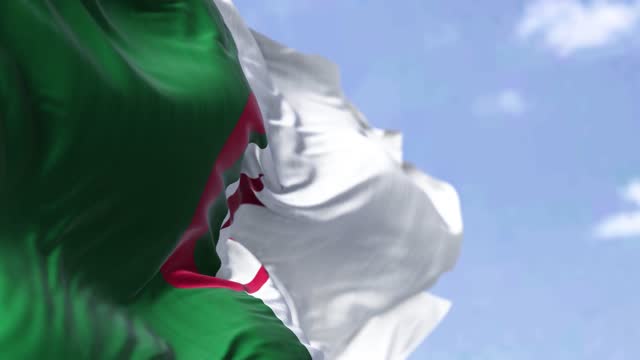 690+ Drapeau Algérie – Vidéos libres de droit 4K et HD - iStock