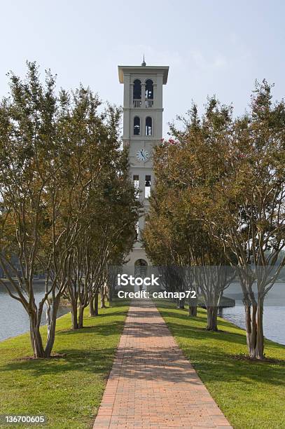 Bell Tower I Długie Przejście Furman College Greenville Sc - zdjęcia stockowe i więcej obrazów Greenville - Stan Karolina Południowa