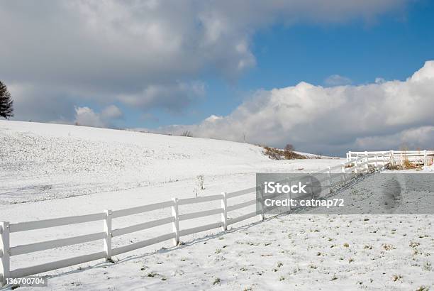 Farm Field In Snow And Sunlight Stock Photo - Download Image Now - Accessibility, Agricultural Field, Agriculture