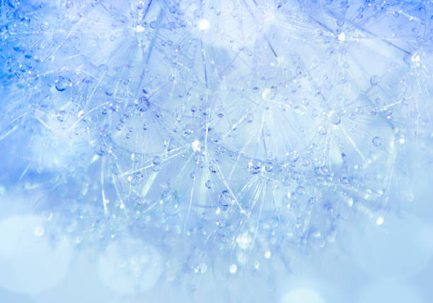 istock Abstract dandelion flower on a blurred blue background with defocused highlights. 1367008863