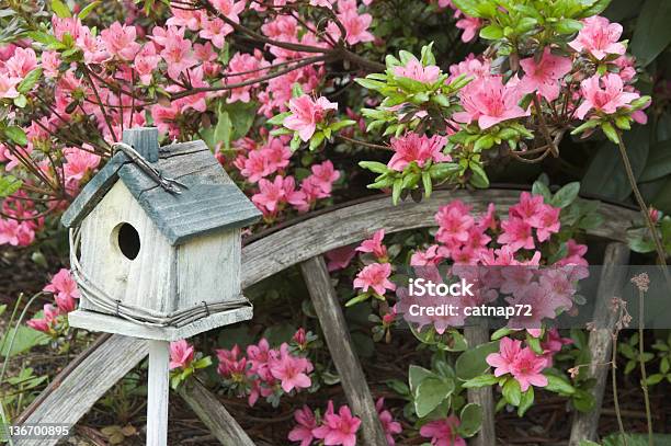 春のツツジの庭園の装飾庭園のクローズアップ - 巣箱のストックフォトや画像を多数ご用意 - 巣箱, 庭, 春