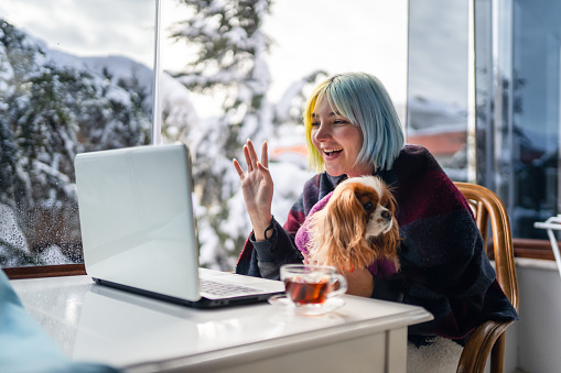 Young woman on business trip in winter being interrupted by her dog while video chatting on laptop