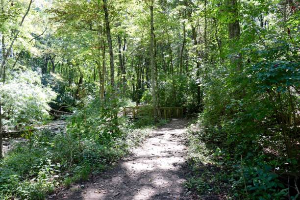 istock Wood Bridge on the Trail 1367009453