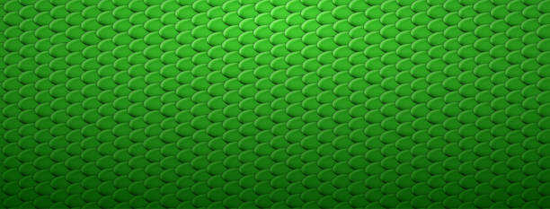 Abstract scaly background Abstract background of snake, dragon or fish scales in green colors. Squama texture. Roof tiles. squamata stock illustrations