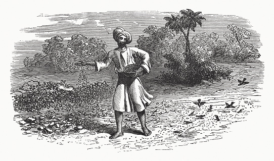 The parable of the sower (Matthew 13). Wood engraving, published in 1862.