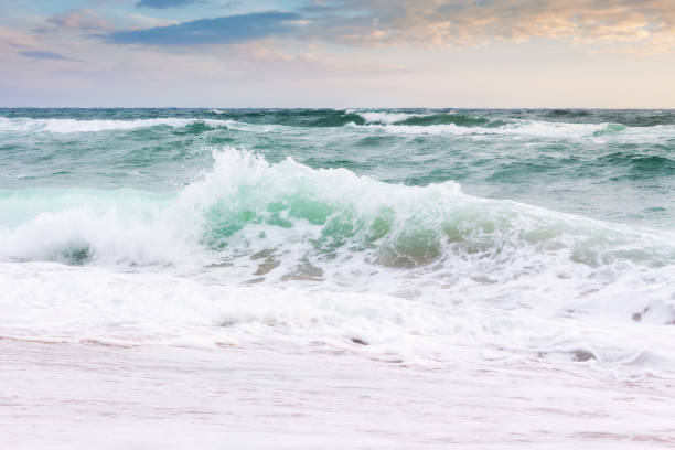 istock seascape with waves crashing the beach at sunrise 1367016550